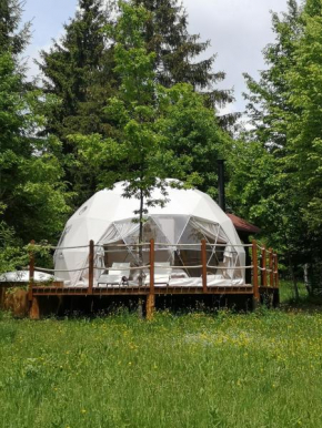 Medve Dome - Luxury Camping in the middle of nature Vlăhiţa